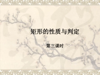 矩形第三课时1