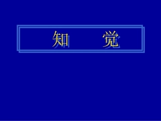 知觉-选择性