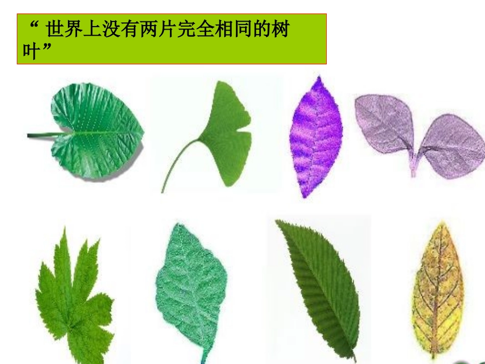 矛盾具有特殊性_第2页