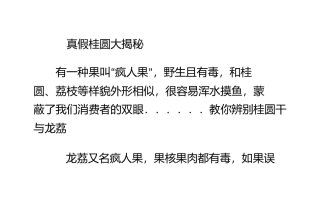 真假桂圆大揭秘