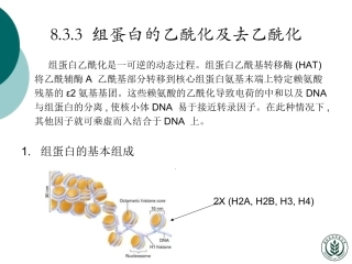 真核表达调控-2分子生物学