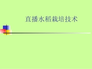 直播水稻栽培技术