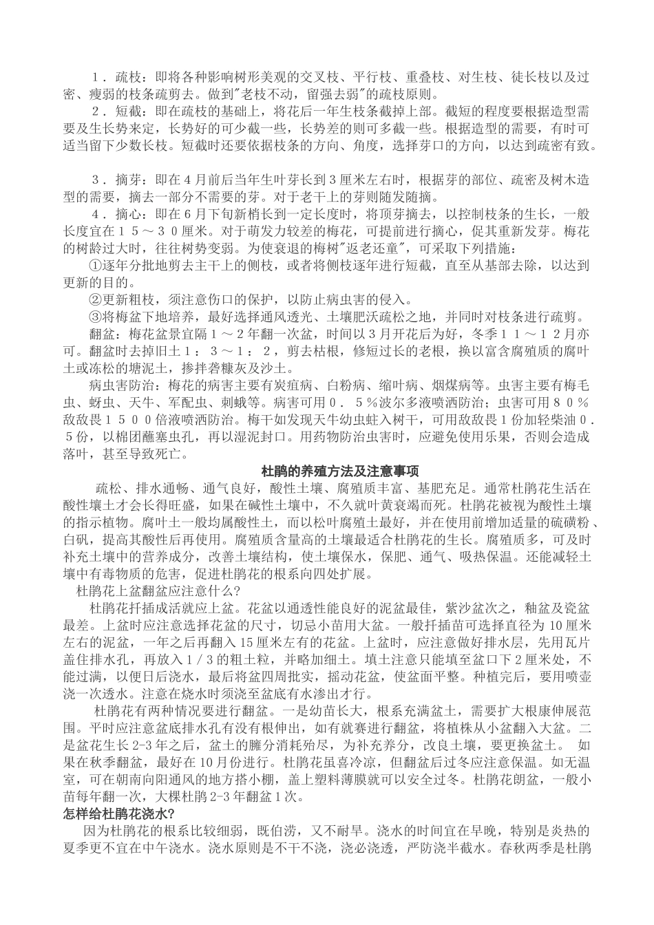 盆栽日香桂的家庭护理_第2页