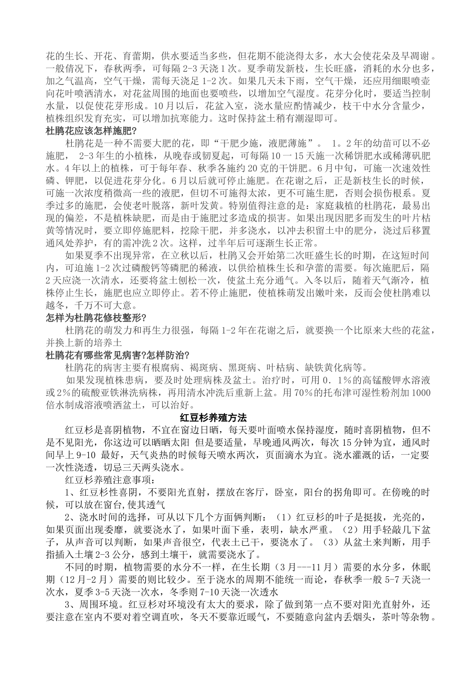 盆栽日香桂的家庭护理_第3页