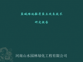 盐碱滩地黏质盐土改良技术PPT(修改)