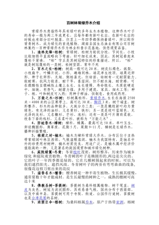 百树林常绿乔木介绍