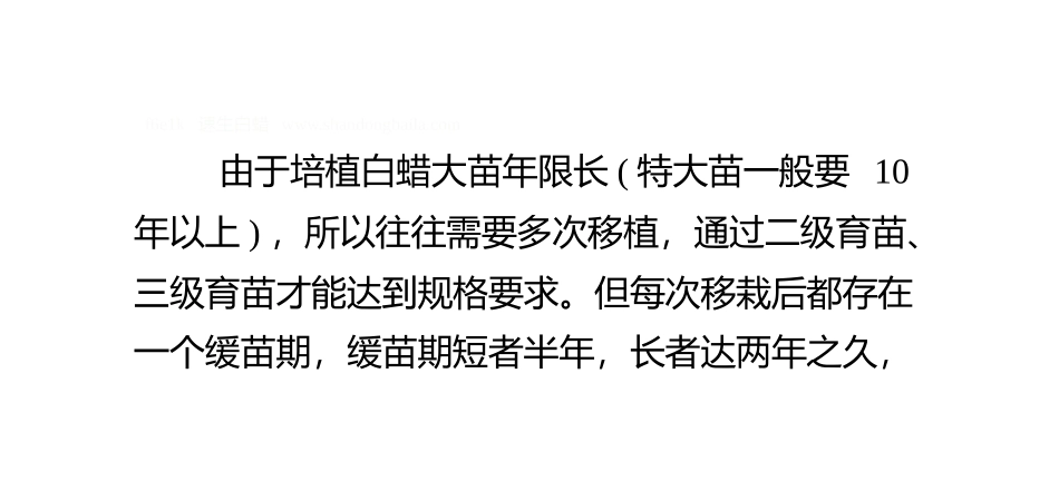 白蜡树移栽时掌握的技术要点_第2页
