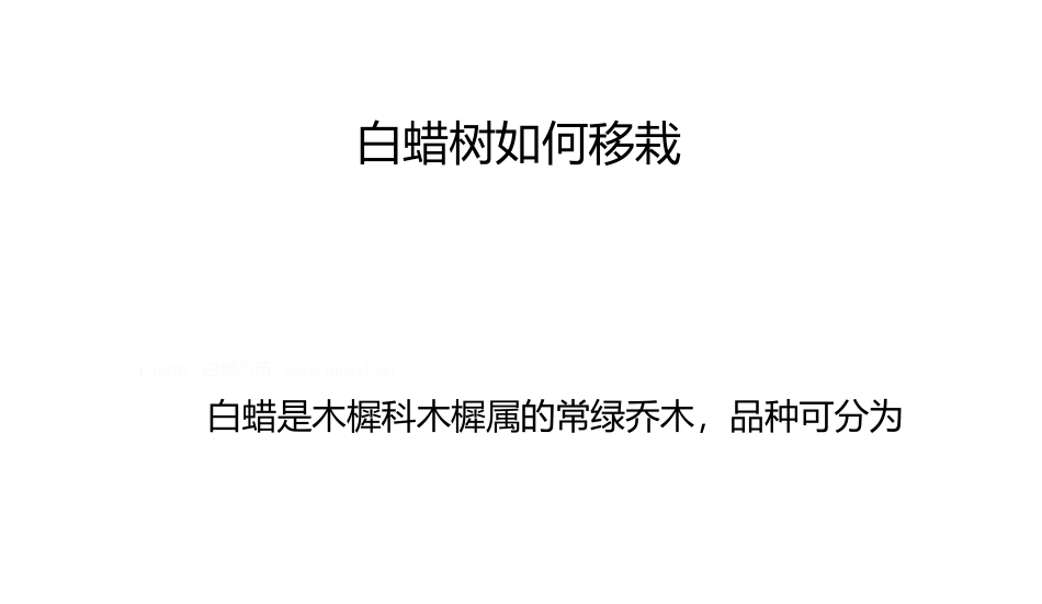 白蜡树如何移栽_第1页