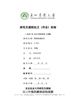 白三叶根的解剖结构观察