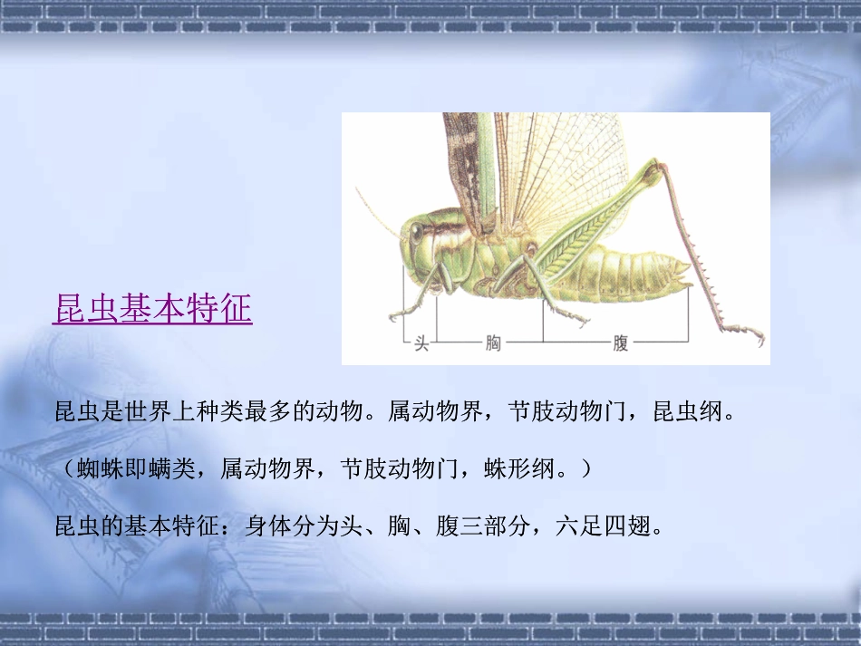 病虫害基础知识_第3页