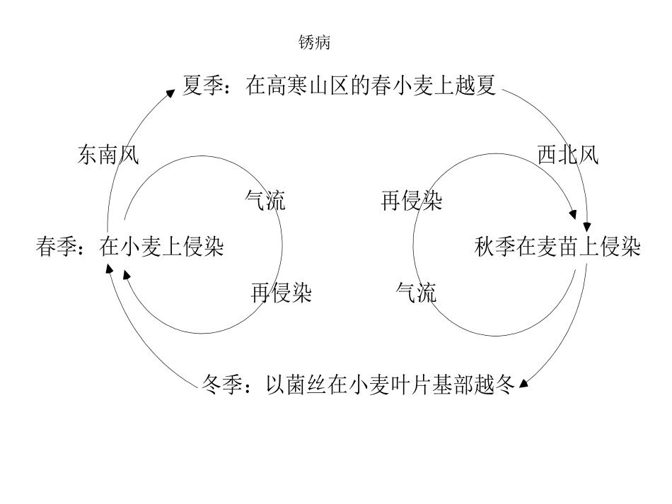 病虫害侵染循环_第1页