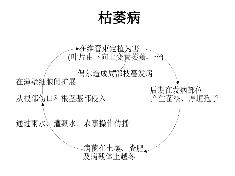 病虫害侵染循环_第3页
