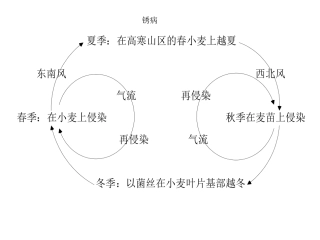 病虫害侵染循环