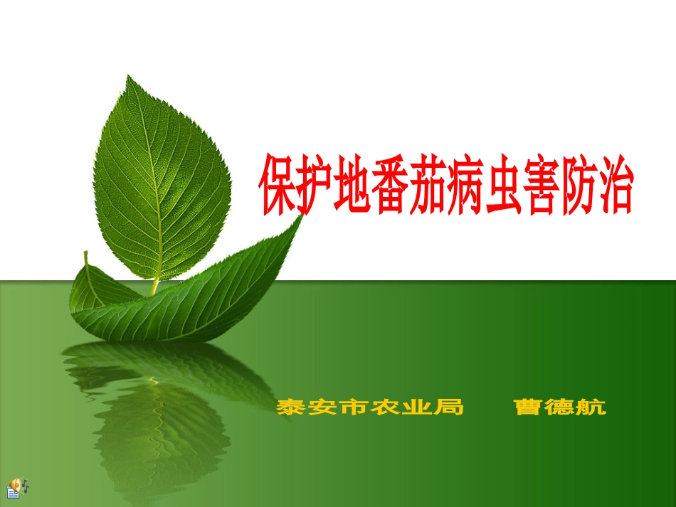 番茄病虫害防治技术教程_第1页