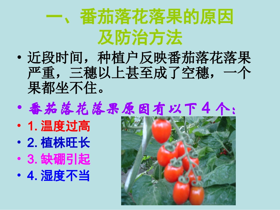 番茄落花落果和保花保果_第2页