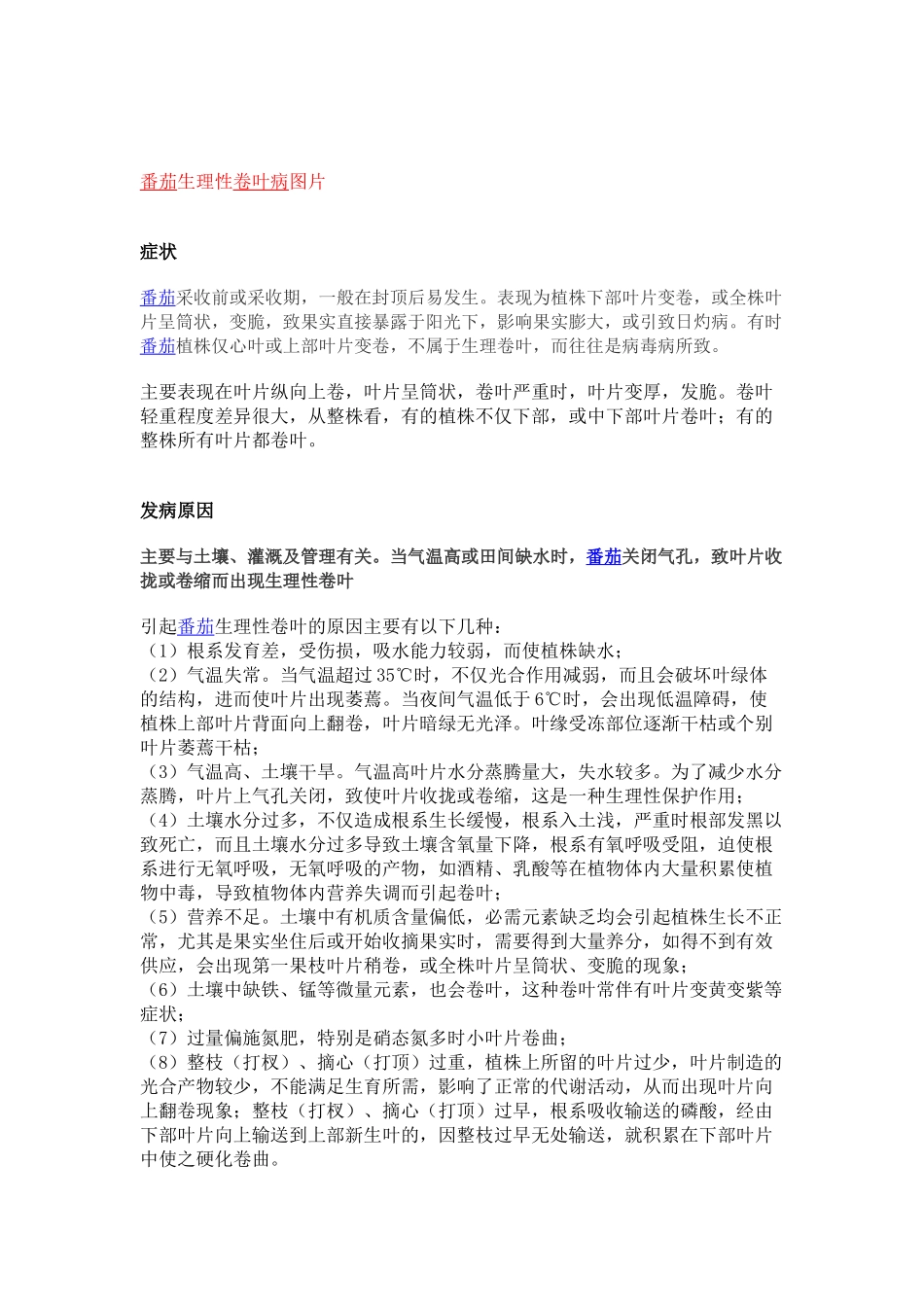 番茄生理性卷叶病图片_第3页