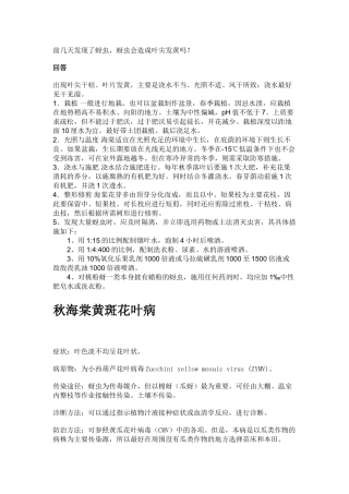 番茄生理性卷叶病图片