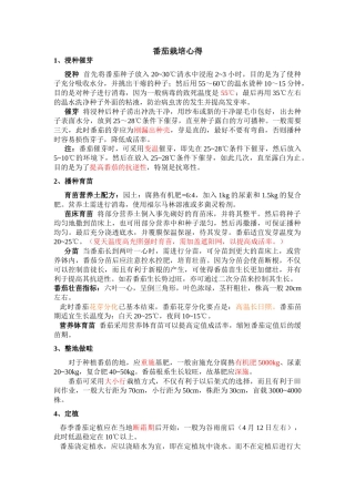番茄栽培 心得_图文