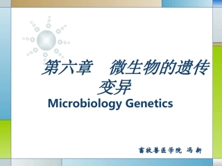 畜牧微生物学 第六章 微生物的遗传与变异