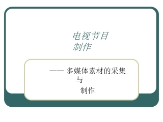 电视节目制作