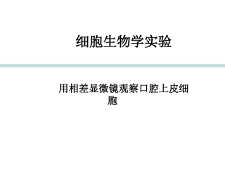 用相差显微镜观察口腔上皮细胞