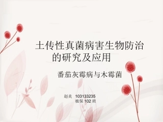 生防,木霉菌防治番茄灰霉病