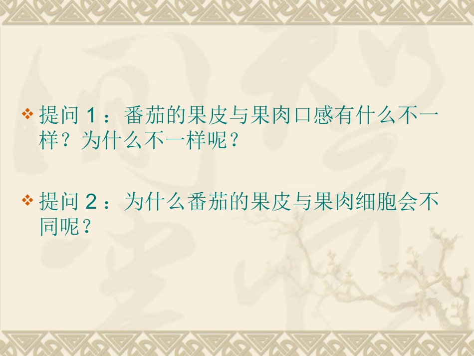 生物：8.1《植物体的组成》课件(苏科版七年级下)_第2页