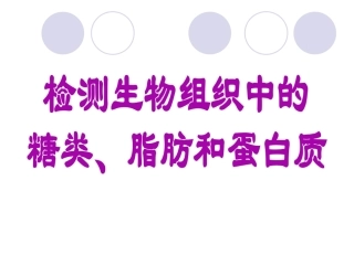 生物：《检测生物组织中糖类、脂肪和蛋白质》课件(新人教版必修1).ppt0908224005706