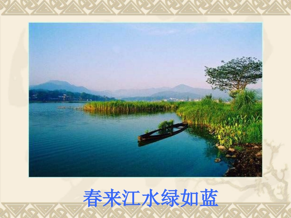 生物：10.2《水中的藻类植物》课件(苏科版七年级下)_第1页