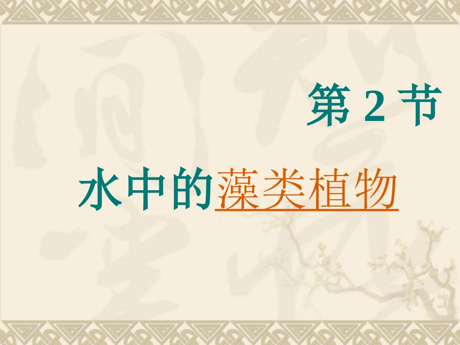 生物：10.2《水中的藻类植物》课件(苏科版七年级下)_第3页