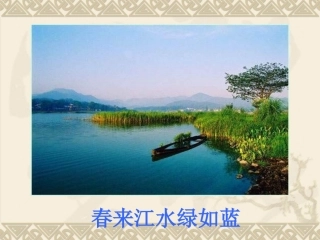 生物：10.2《水中的藻类植物》课件(苏科版七年级下)