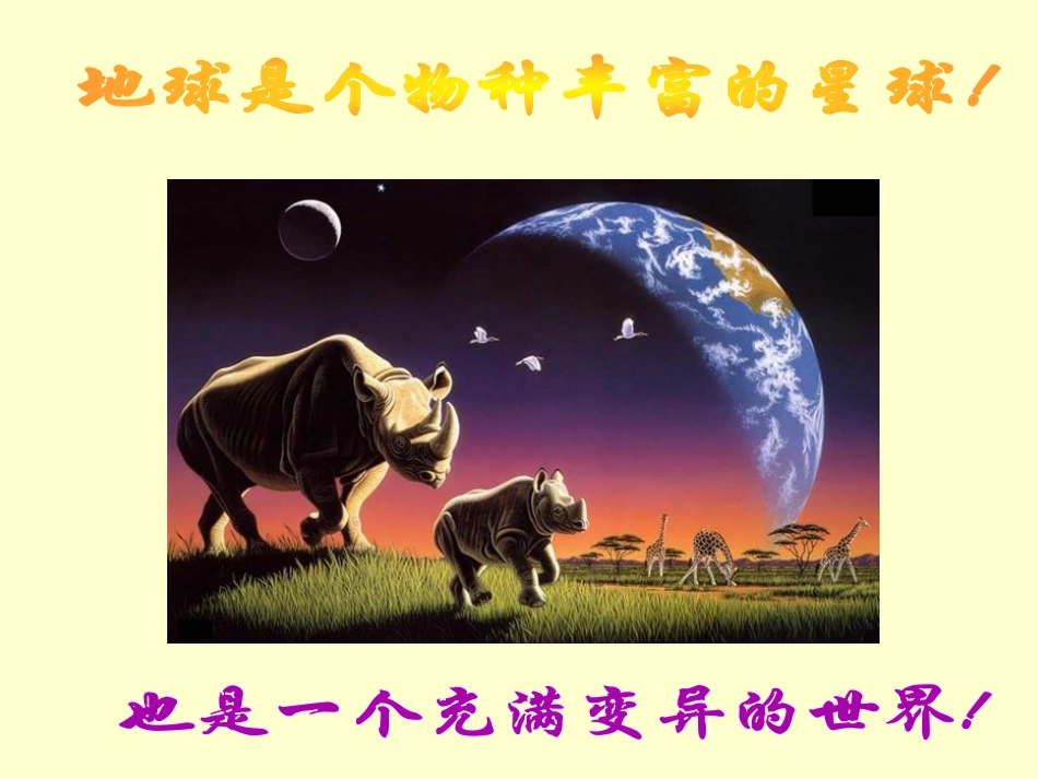 生物的变异3_第2页