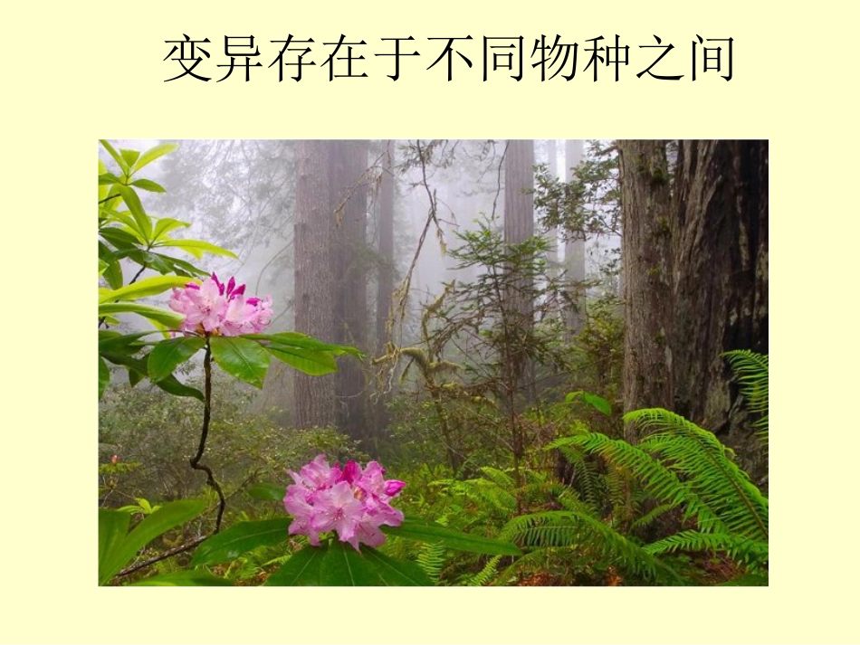 生物的变异3_第3页