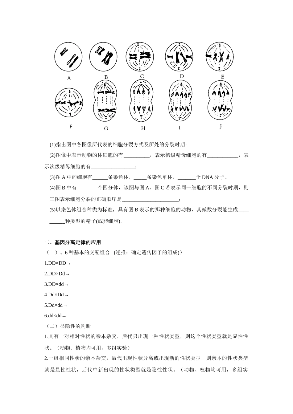 生物必修2基因分离定律与自由组合定律的应用_第2页
