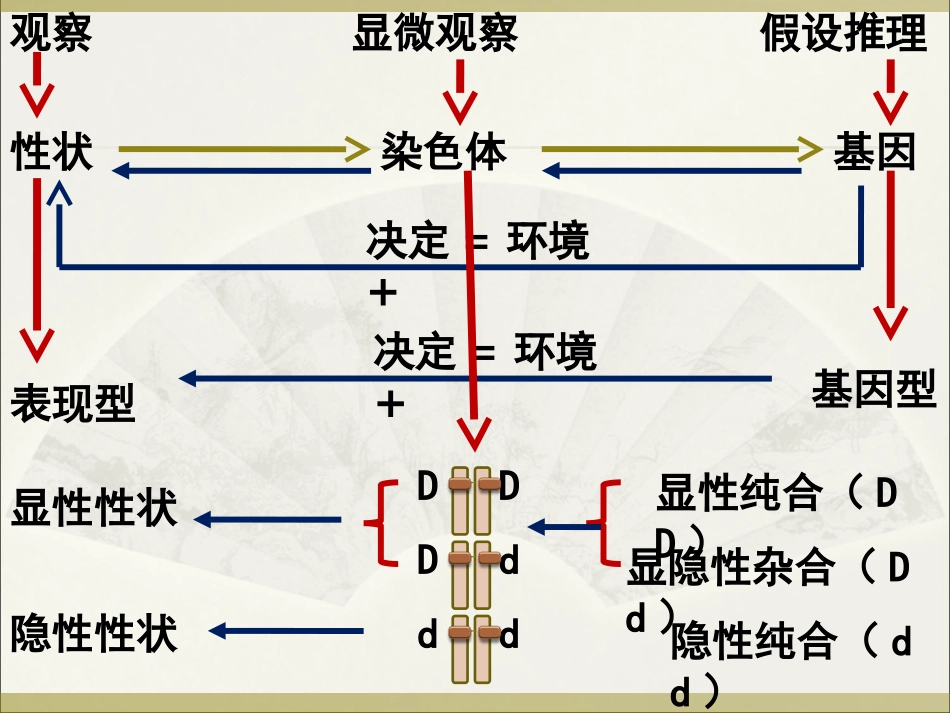 生物归纳总结_第3页