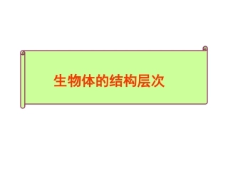 生物体的结构层次 免费