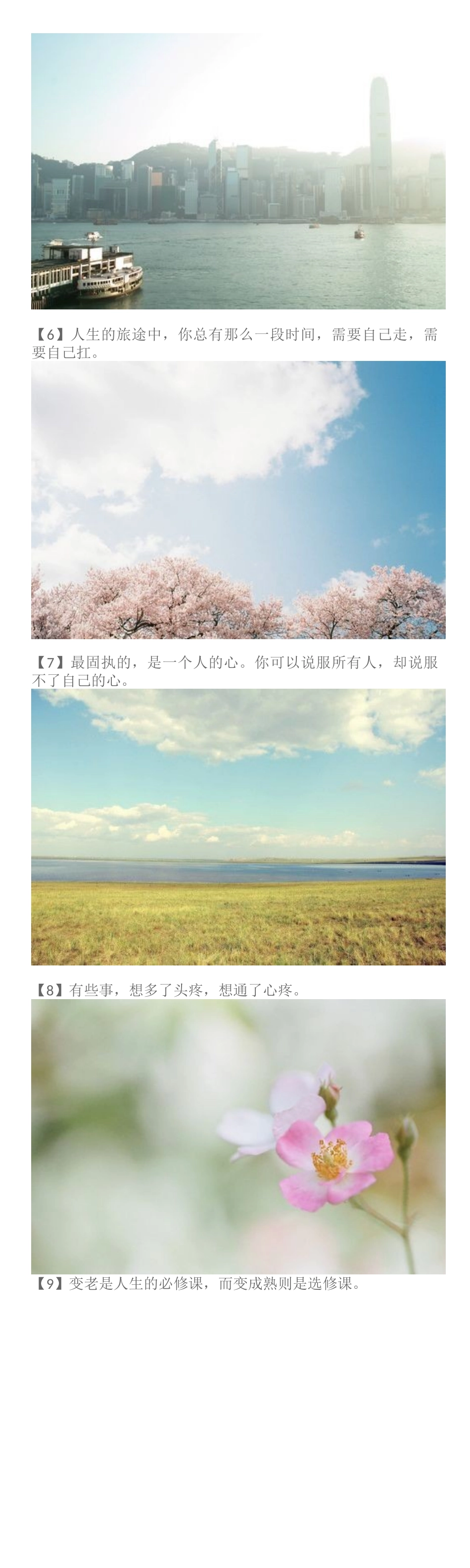 生活只有经得起平静,方才显淡泊宁静的真实_第2页