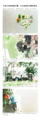 生活只有经得起平静,方才显淡泊宁静的真实