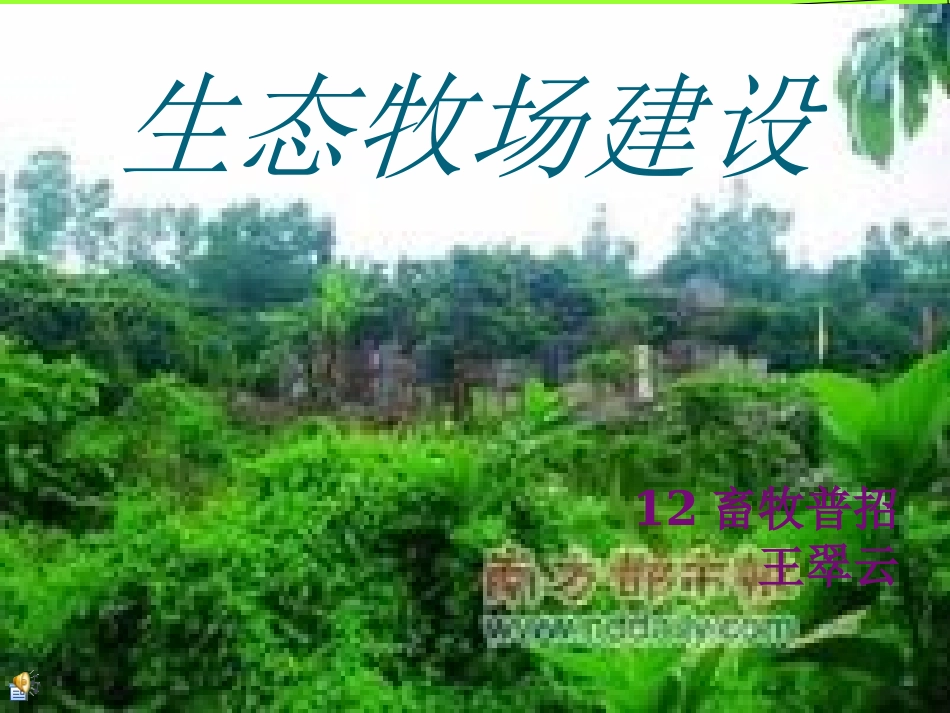 生态牧场设计_第1页