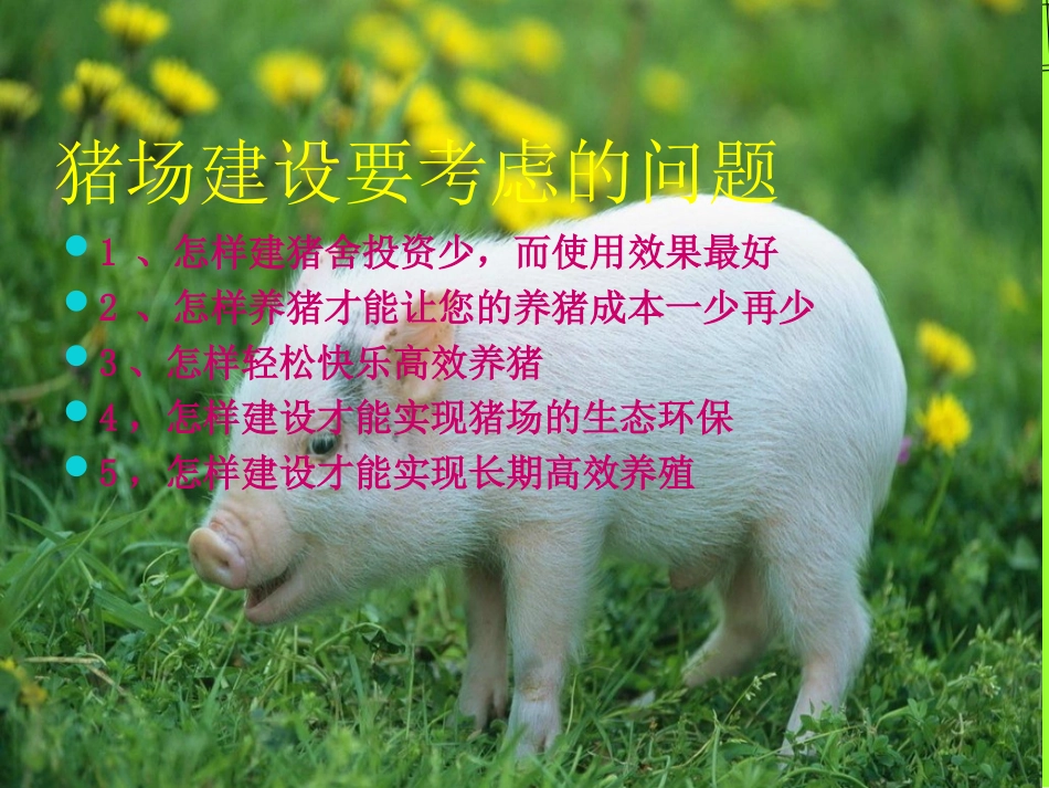 生态牧场设计_第3页