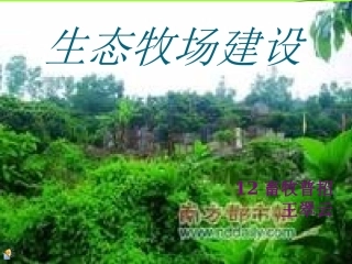 生态牧场设计