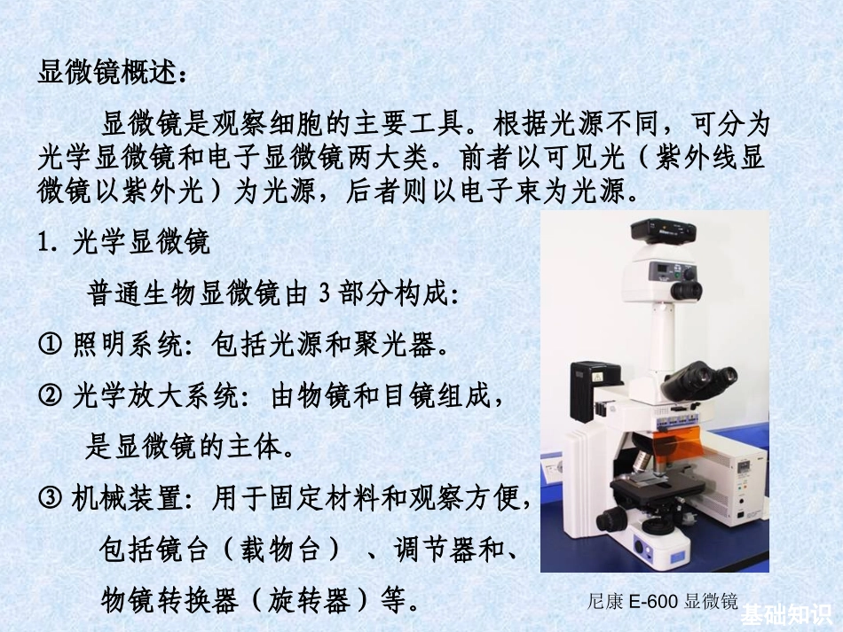 生命科学导论实验_第3页