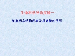 生命科学导论实验