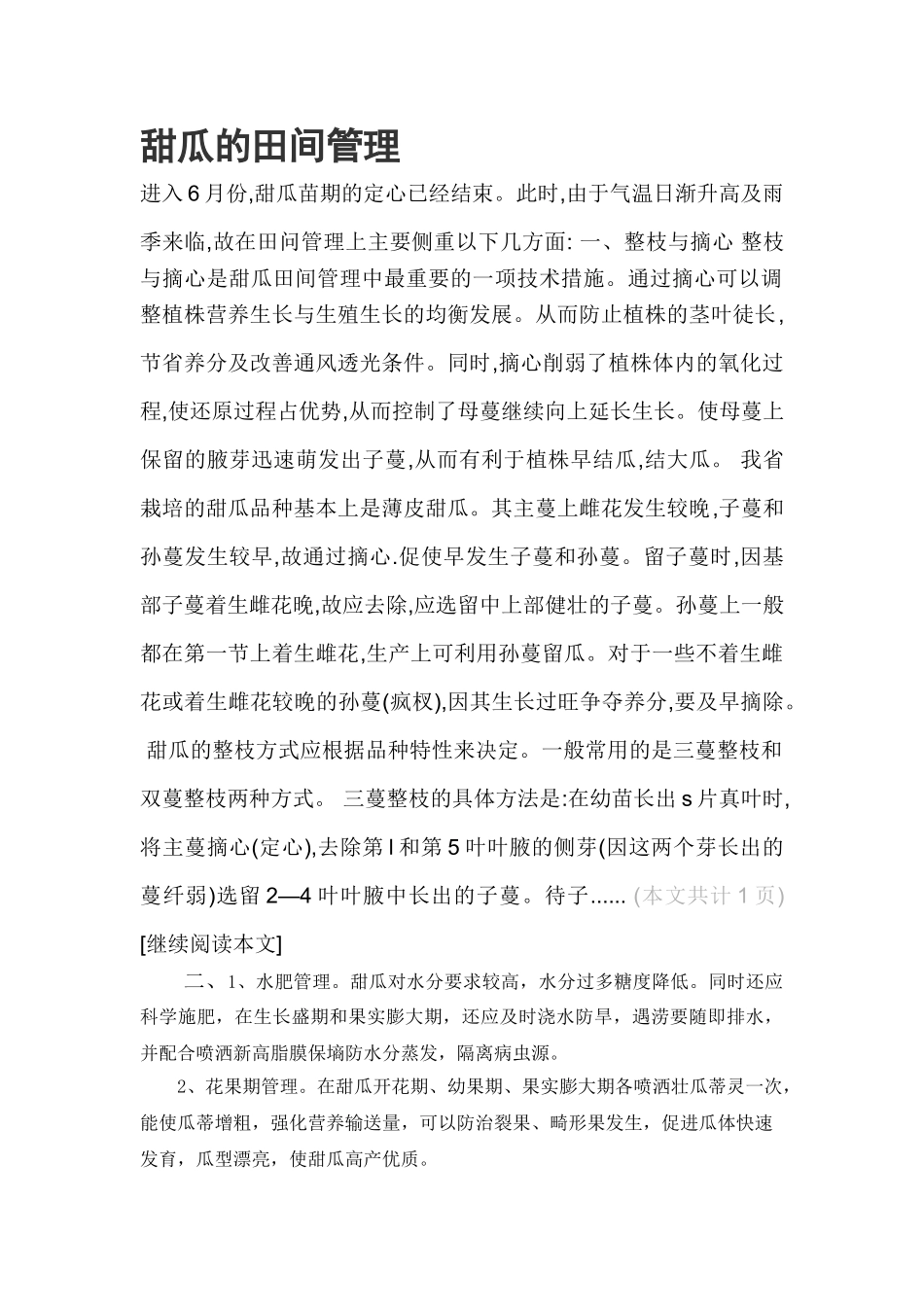 甜瓜的田间管理_第1页