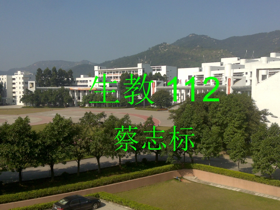 甘蓝型油菜小孢子发育_第1页