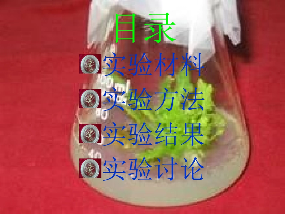 甘蓝型油菜小孢子发育_第3页