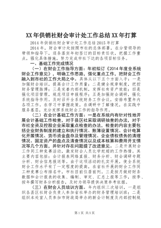 XX年供销社财会审计处工作总结XX年打算