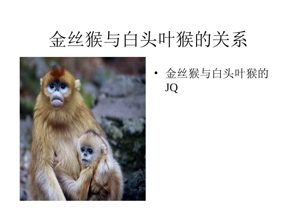 珍稀动物基地组织_第2页