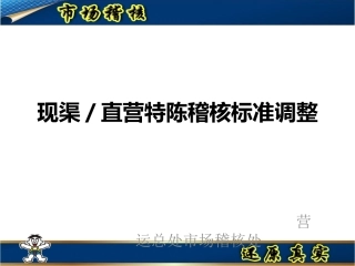 现渠直营特陈稽核标准