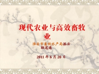 现代农业与高效畜牧业